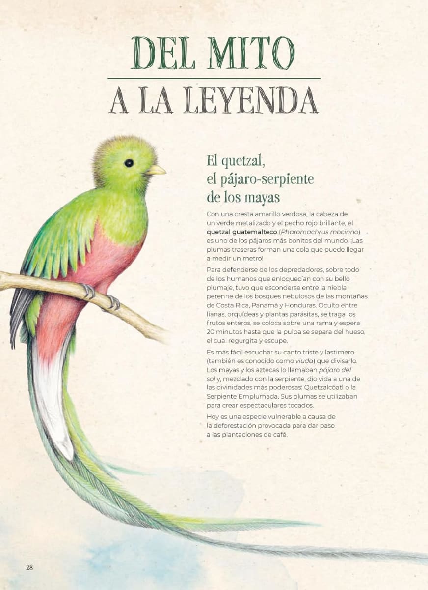 EXTINTOPEDIA4