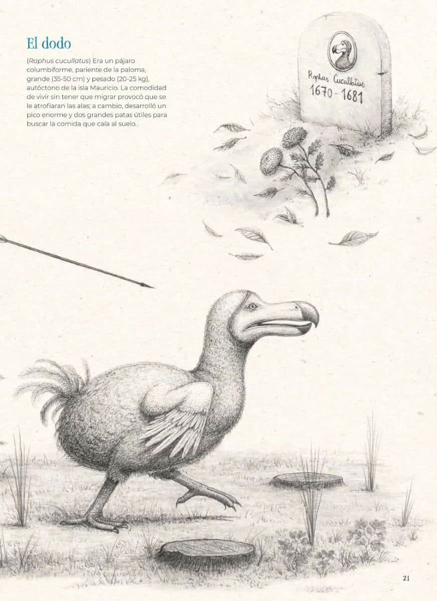 EXTINTOPEDIA5