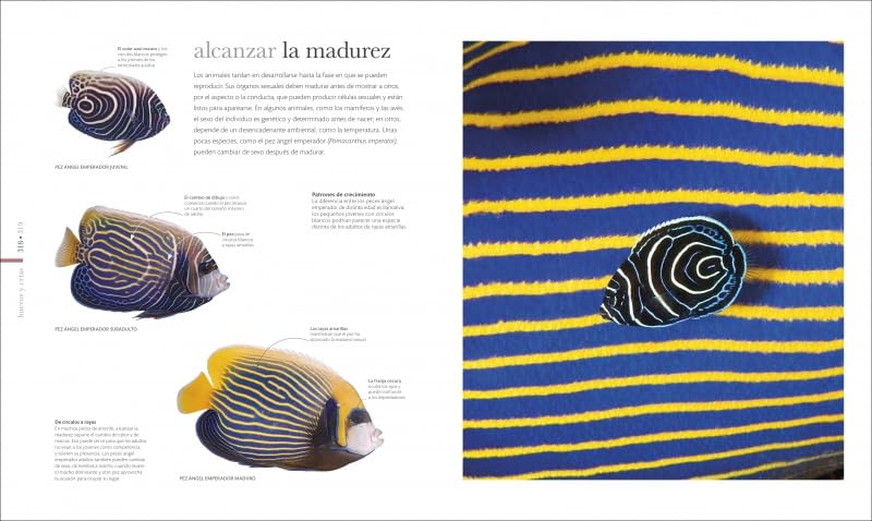 FAUNA (NUEVA EDICIÓN)2