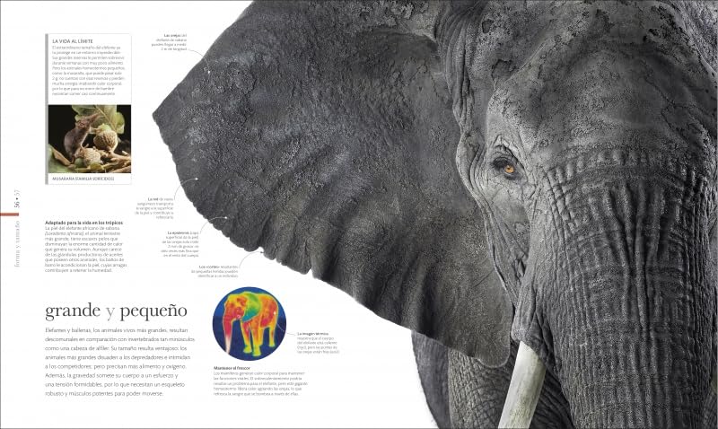 FAUNA (NUEVA EDICIÓN)3