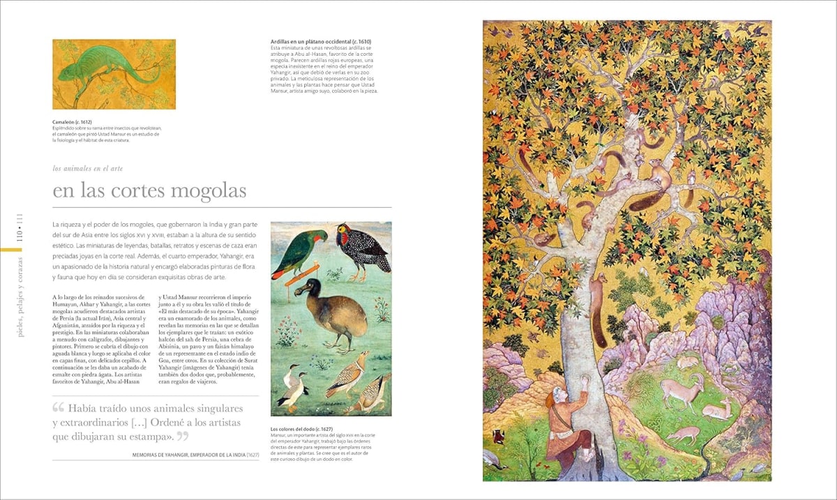 FAUNA (NUEVA EDICIÓN)4