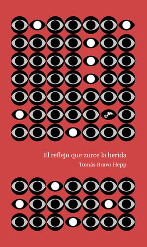 EL REFLEJO QUE ZURCE LA HERIDA1