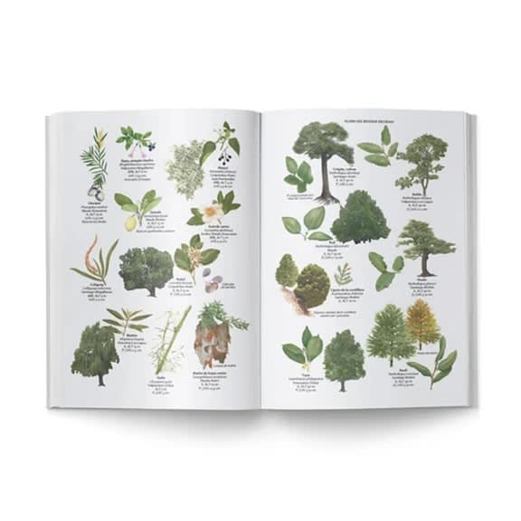 FLORA Y FAUNA DE CHILE, GUÍA DE IDENTIFICACIÓN2