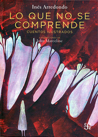 LO QUE NO SE COMPRENDE1