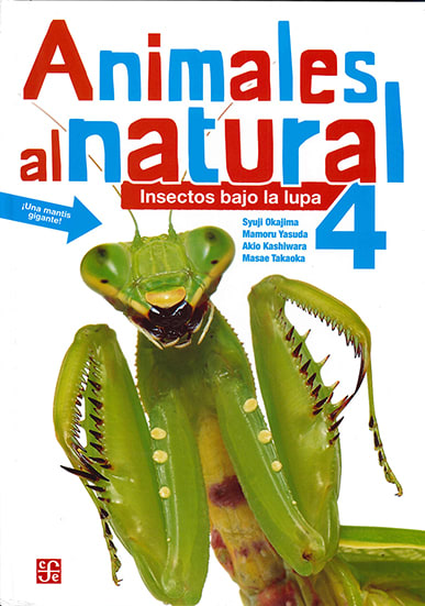 ANIMALES AL NATURAL 4: INSECTOS BAJO LA LUPA1