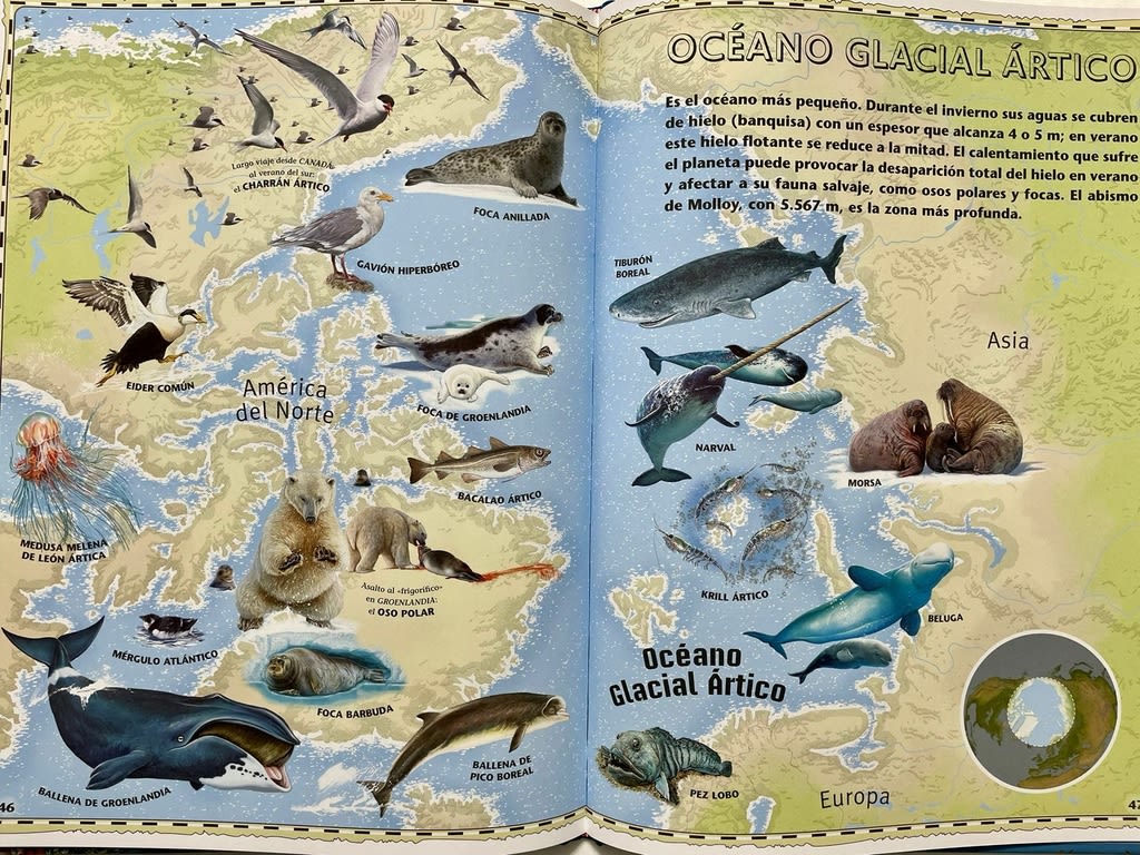 ATLAS DE LOS OCÉANOS. DESCUBRE EL MUNDO MARINO1