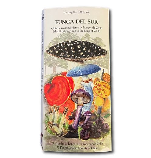 CARTILLA HONGOS FUNGA SUR1