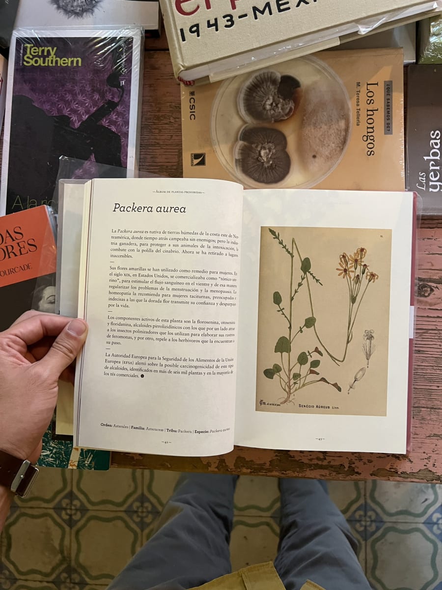 ÁLBUM DE PLANTAS PROHIBIDAS2