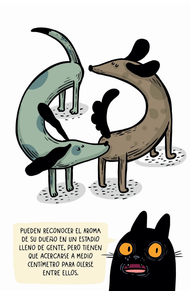 EL GRAN LIBRO DE LOS PERROS SEGUN MI GATO3