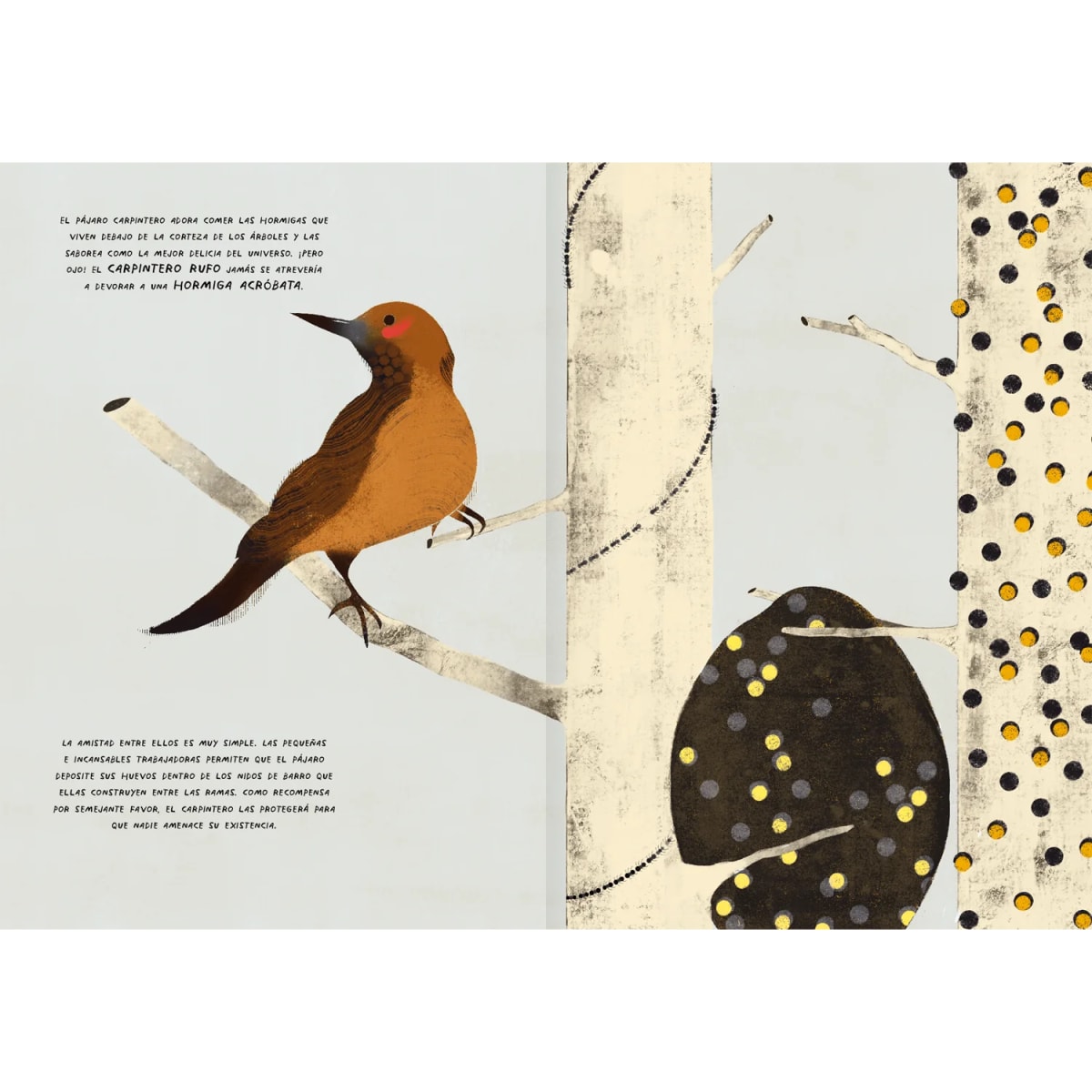 GRANDES AMIGOS POR NATURALEZA4