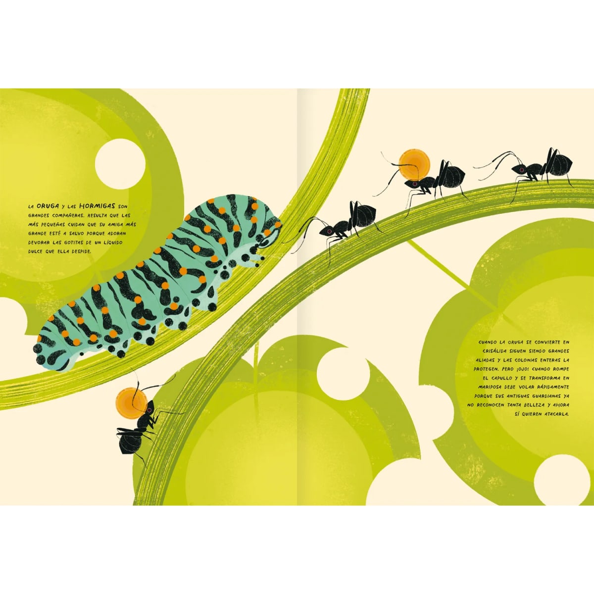 GRANDES AMIGOS POR NATURALEZA5