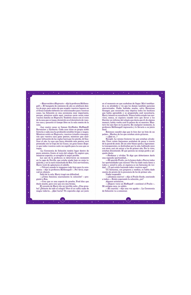 HARRY POTTER Y LA PIEDRA FILOSOFAL (25 ANIVERSARIO)3