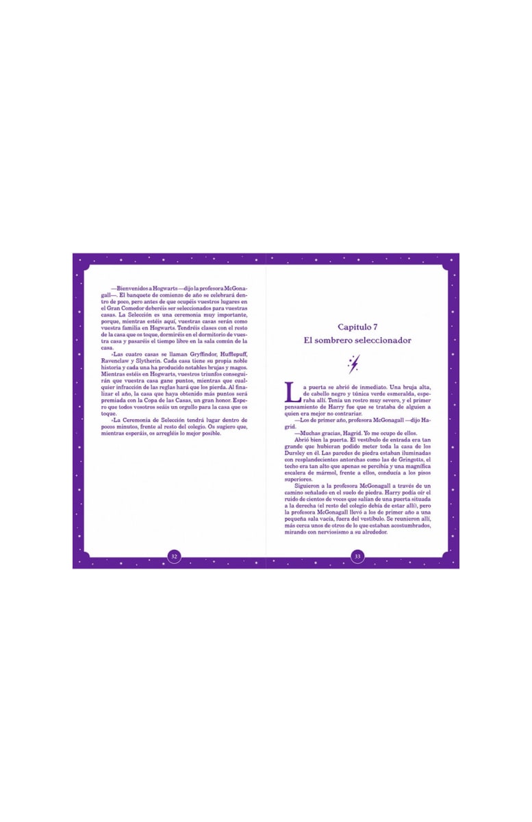 HARRY POTTER Y LA PIEDRA FILOSOFAL (25 ANIVERSARIO)2