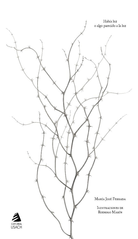 HABÍA LUZ O ALGO PARECIDO A LA LUZ1