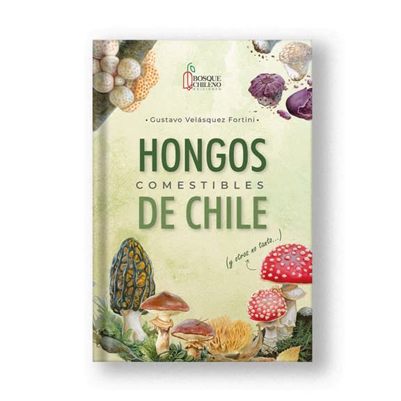HONGOS COMESTIBLES DE CHILE (Y OTROS NO TANTO)1