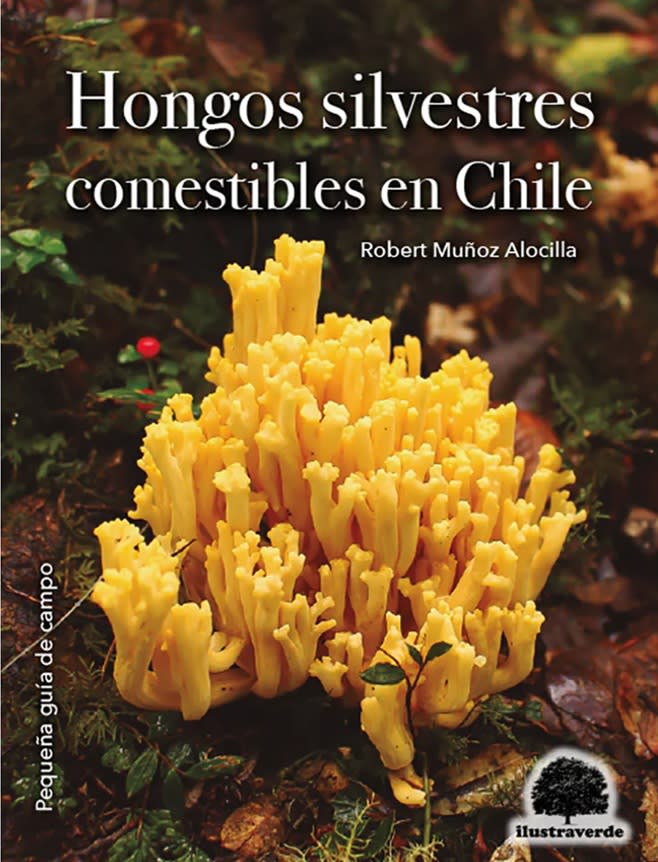 Hongos Silvestres Comestibles en Chile1