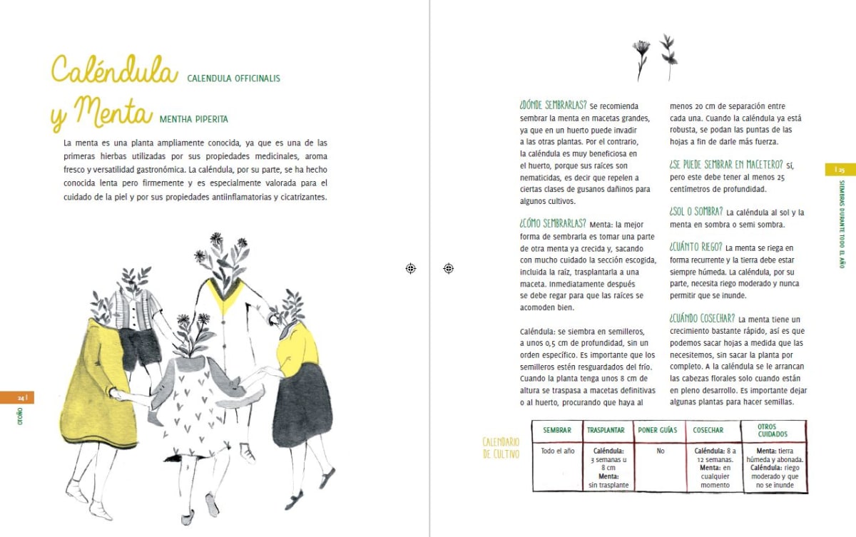 MI PEQUEÑO HUERTO.3