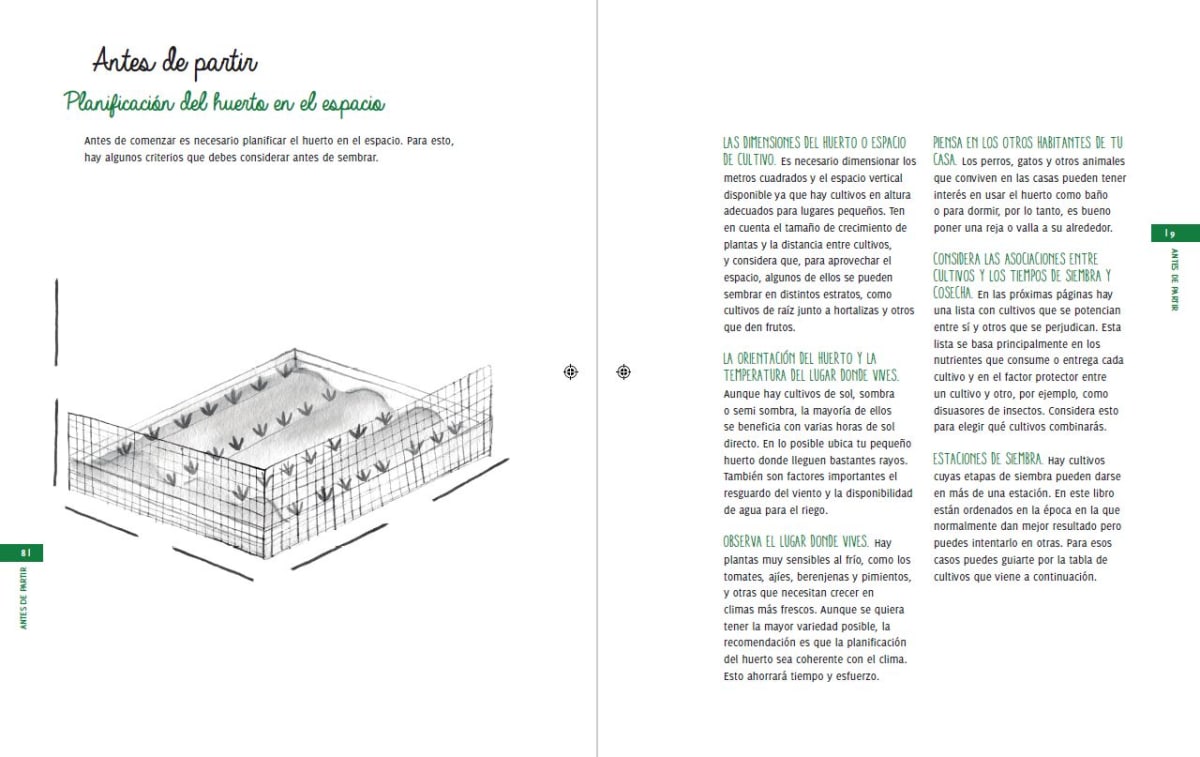 MI PEQUEÑO HUERTO.2