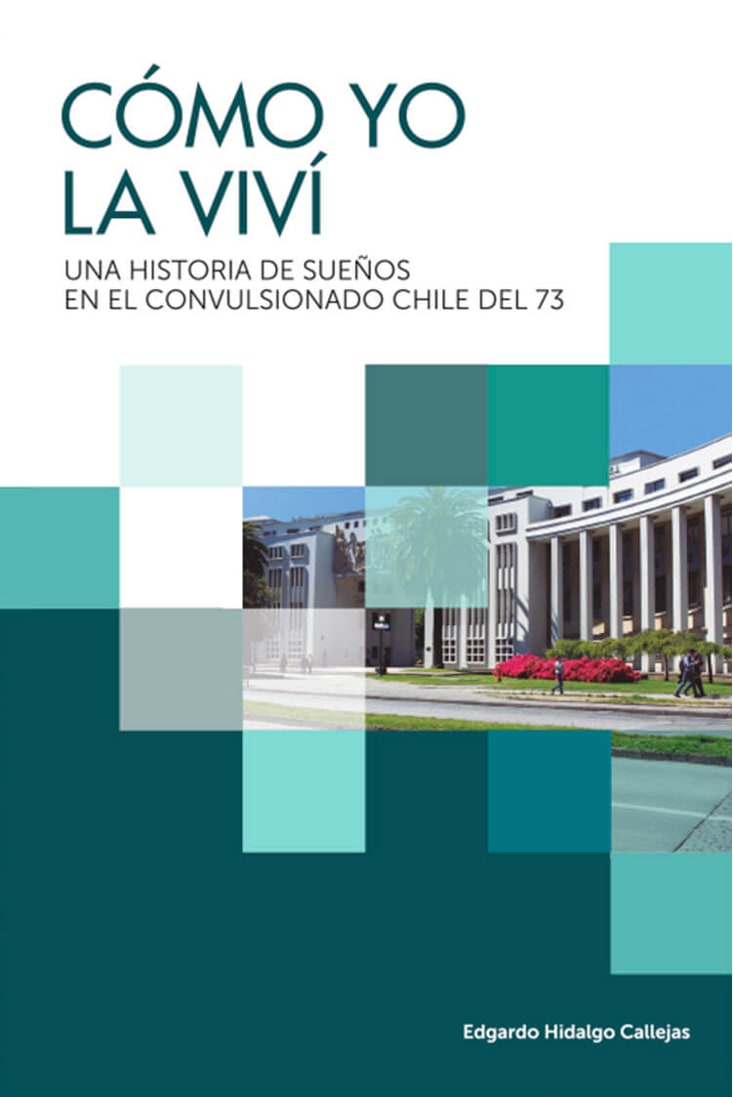 COMO YO LA VIVI. UNA HISTORIA DE SUEÑOS EN EL CONVULSIONADO CHILE DEL 731