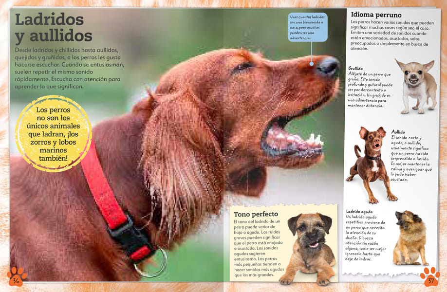 MI LIBRO DE PERROS Y CACHORROS. UNA COMPLETA GUÍA SOBRE TUS AMIGOS CANINOS2
