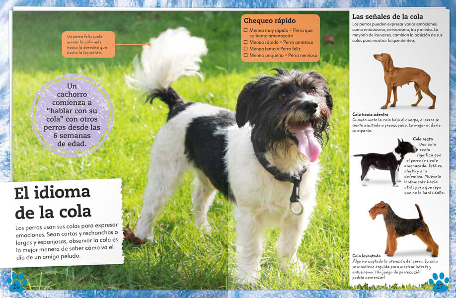 MI LIBRO DE PERROS Y CACHORROS. UNA COMPLETA GUÍA SOBRE TUS AMIGOS CANINOS3