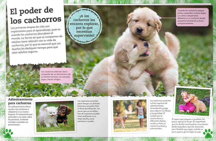 MI LIBRO DE PERROS Y CACHORROS. UNA COMPLETA GUÍA SOBRE TUS AMIGOS CANINOS5