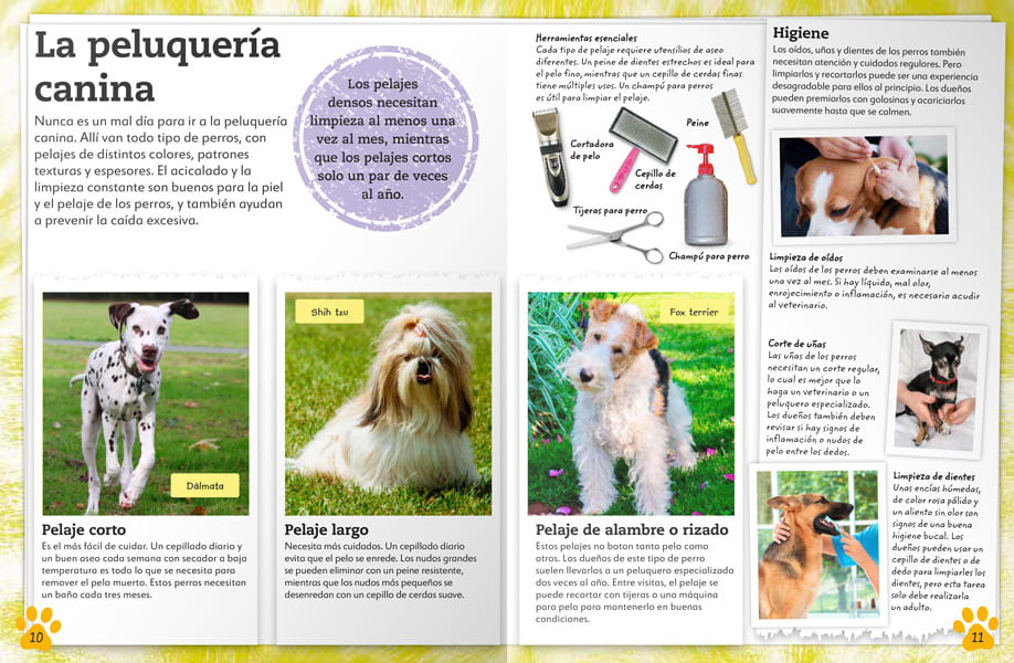 MI LIBRO DE PERROS Y CACHORROS. UNA COMPLETA GUÍA SOBRE TUS AMIGOS CANINOS 4