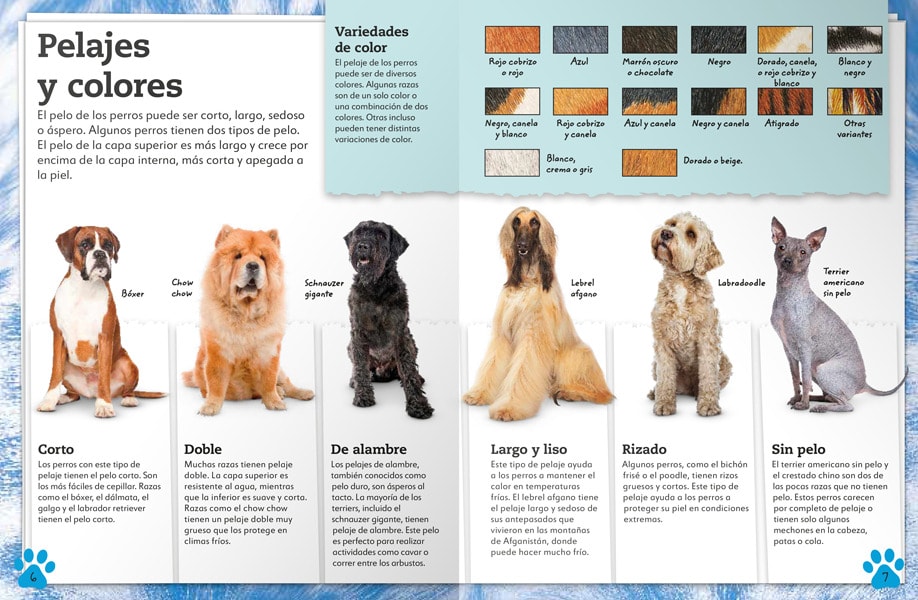 MI LIBRO DE PERROS Y CACHORROS. UNA COMPLETA GUÍA SOBRE TUS AMIGOS CANINOS6