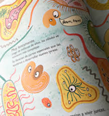 LA HISTORIA DE LA VIDA2