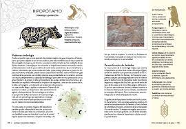 ANIMALES CON PODERES MÁGICOS4