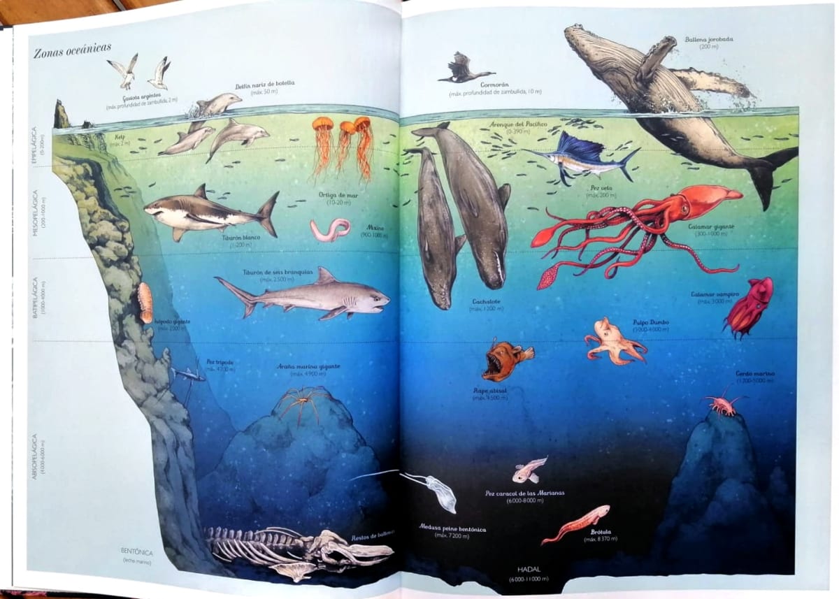 OCEANARIUM2