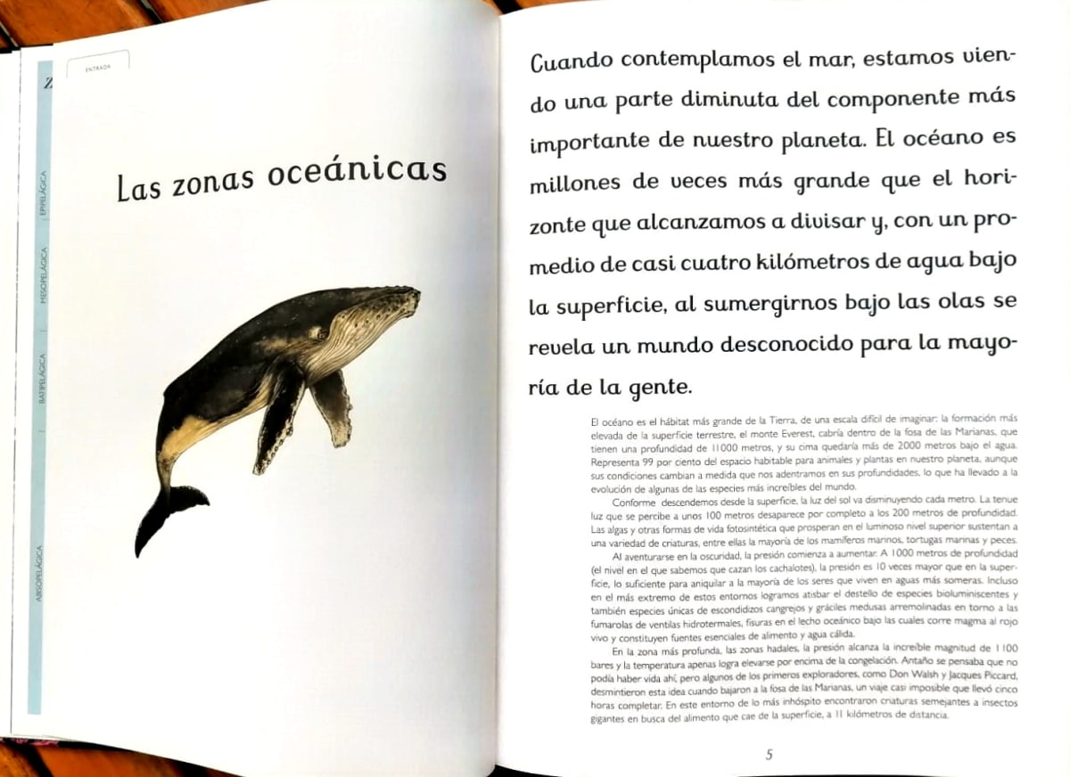 OCEANARIUM1