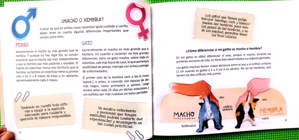 YO CUIDO A MI MASCOTA - ZIG ZAG C4