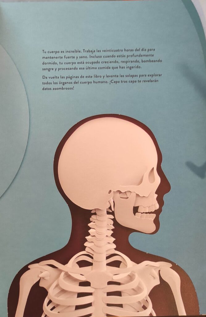 UN MUNDO DE PAPEL:  EL CUERPO HUMANO3
