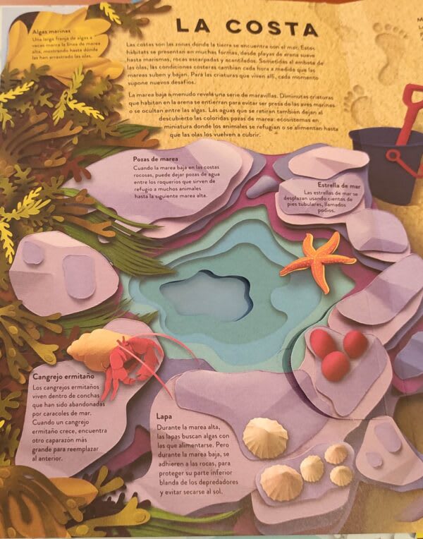 UN MUNDO DE PAPEL: EL OCÉANO2