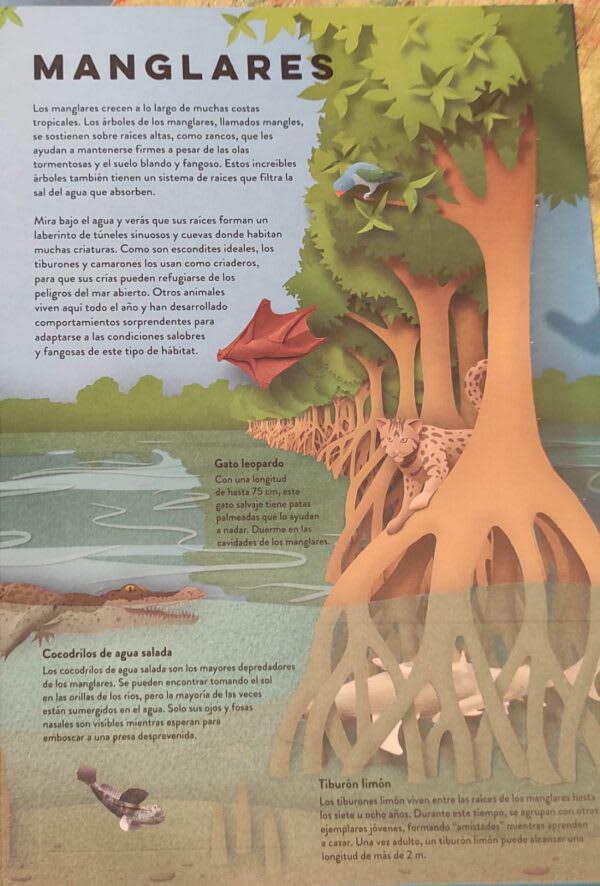 UN MUNDO DE PAPEL: EL OCÉANO3