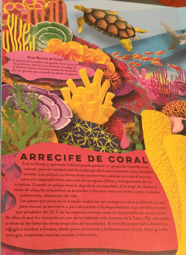 UN MUNDO DE PAPEL: EL OCÉANO4