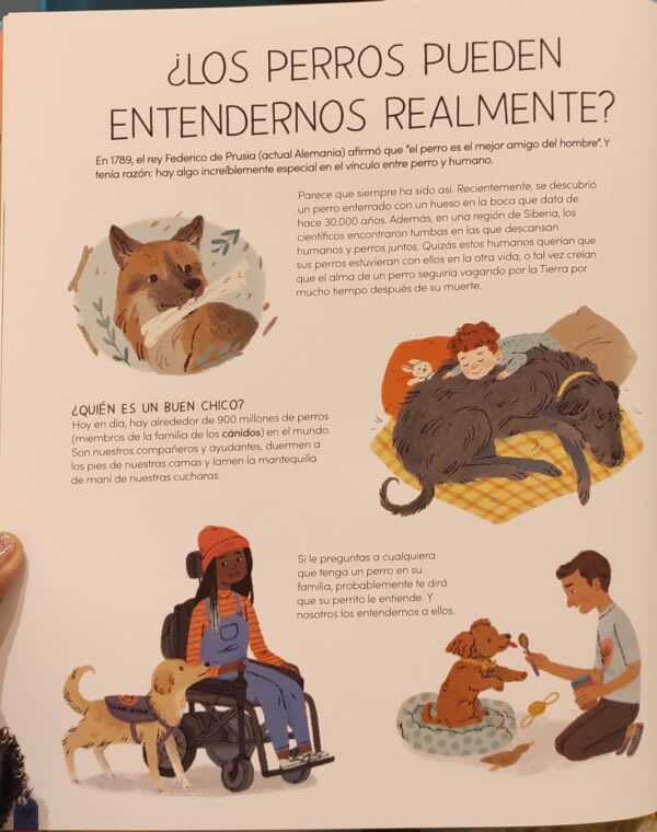 UN MUNDO DE PERROS3