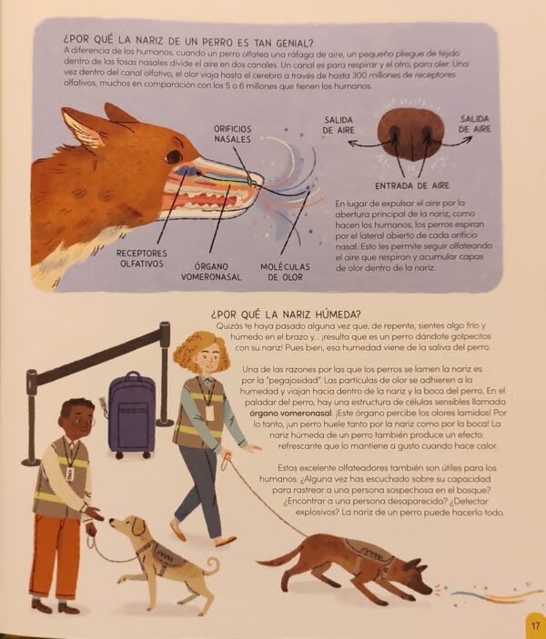 UN MUNDO DE PERROS4