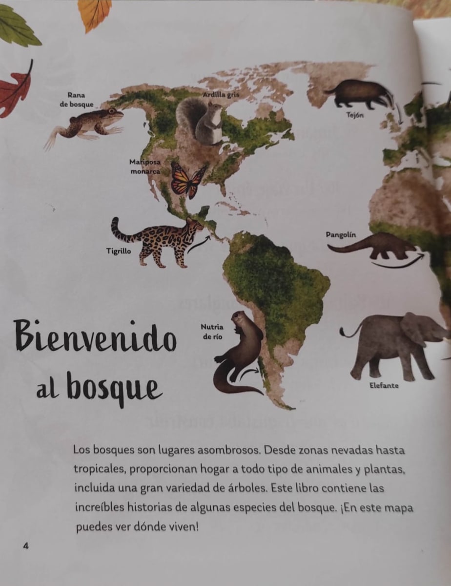 SECRETOS DEL BOSQUE2