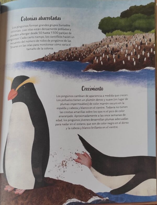 SECRETOS DEL BOSQUE4