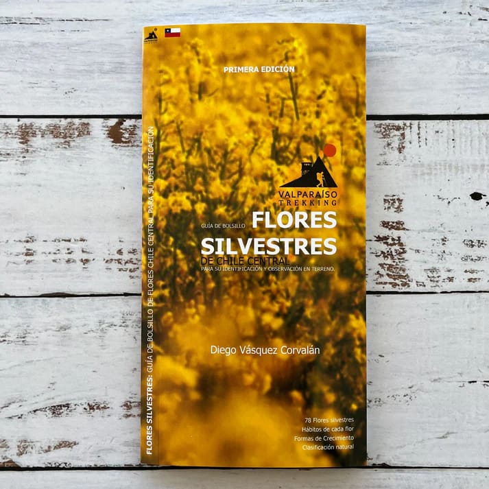 CARTILLA FLORES SILVESTRES CHILE CENTRAL1