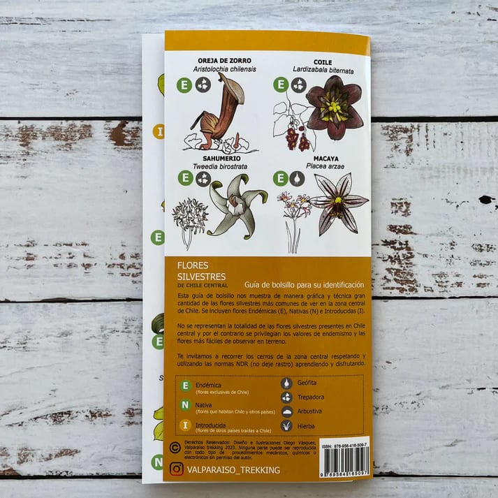 CARTILLA FLORES SILVESTRES CHILE CENTRAL2