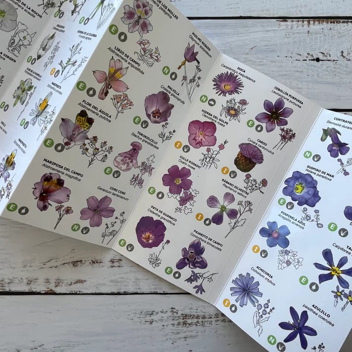 CARTILLA FLORES SILVESTRES CHILE CENTRAL3