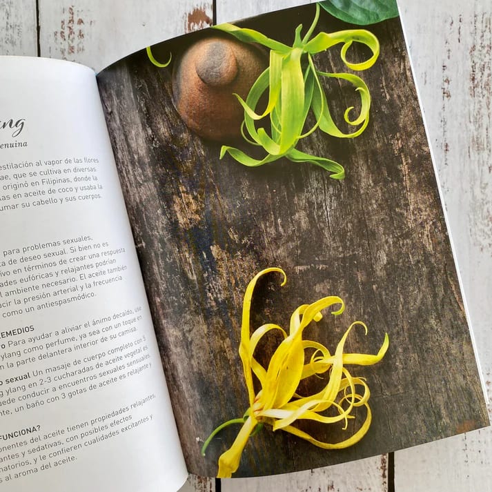 ACEITES ESENCIALES SAGRADOS3