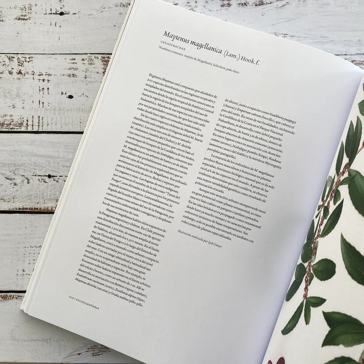 PLANTAS Y ÁRBOLES DE LOS BOSQUES DE CHILE5