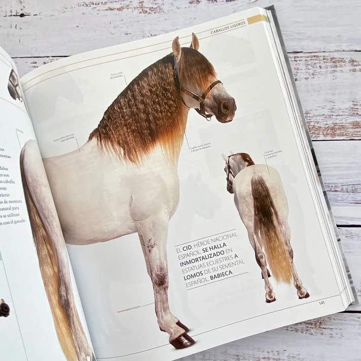 ENCICLOPEDIA DEL CABALLO4