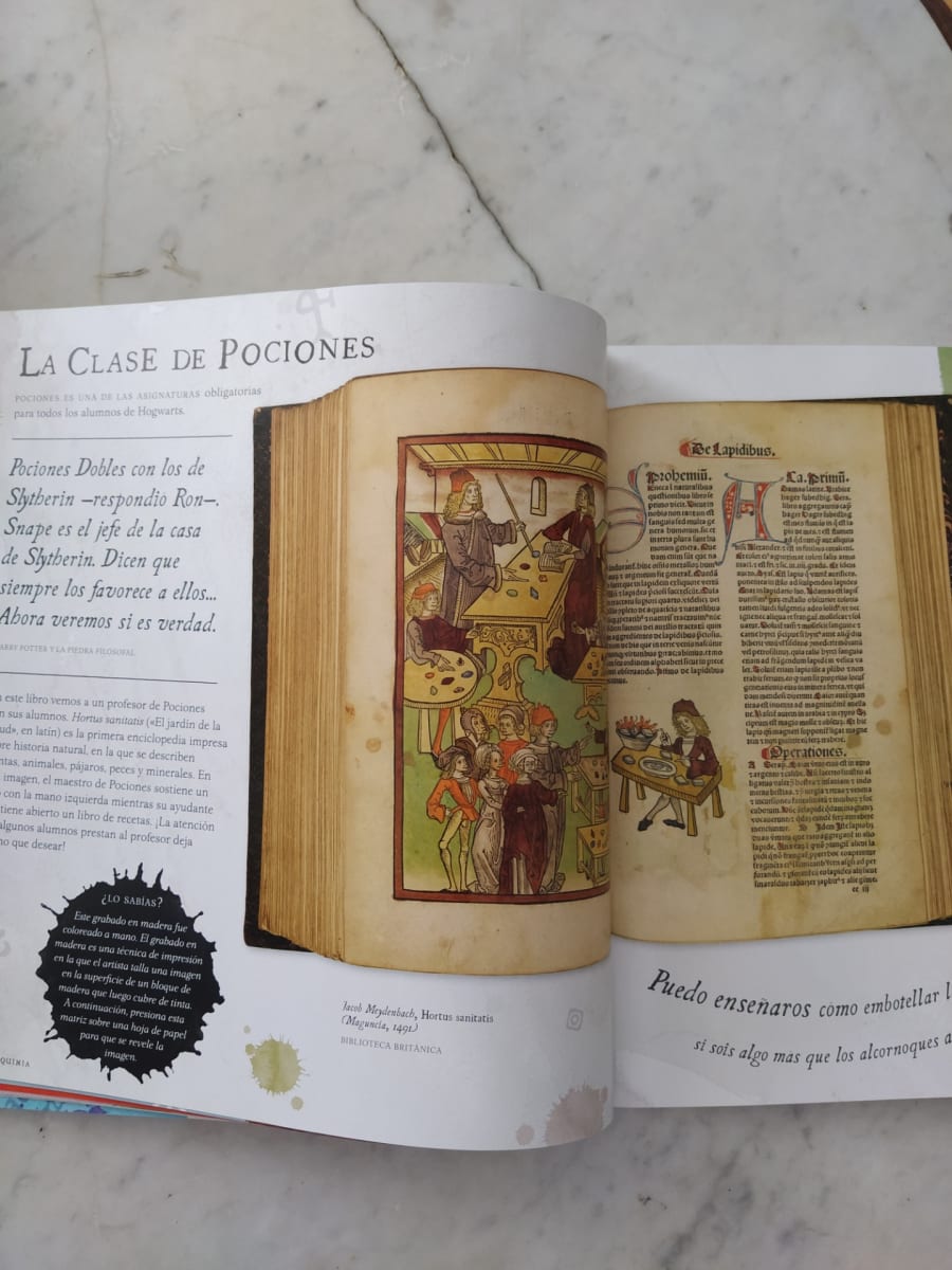 HARRY POTTER: UN VIAJE POR LA HISTORIA4