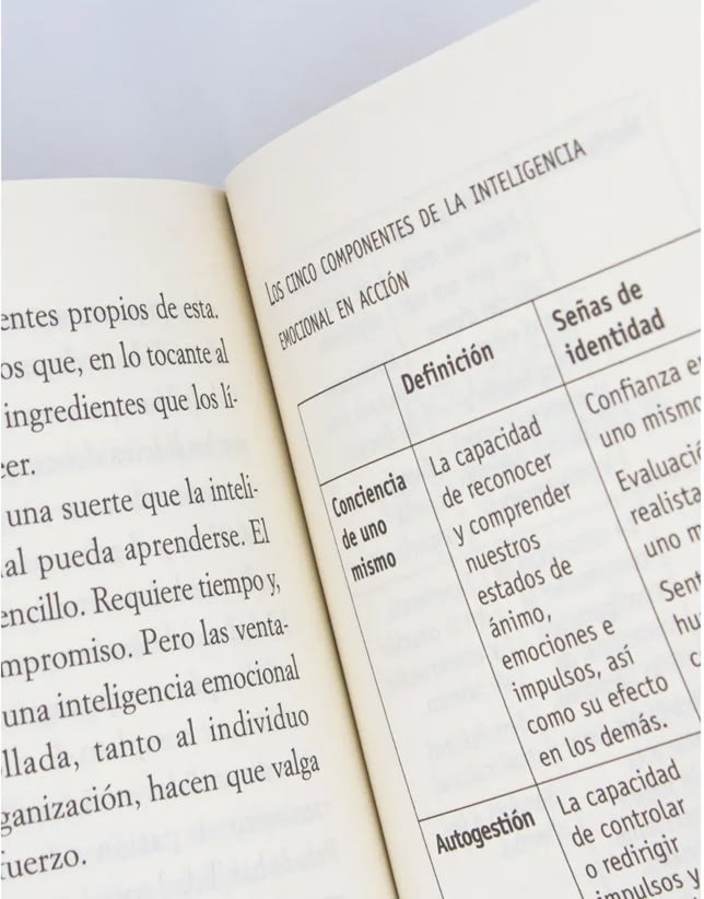 LA INTELIGENCIA EMOCIONAL EN LA EMPRESA2