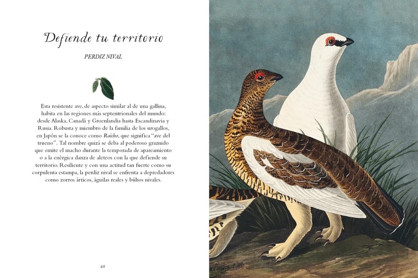 LA SABIDURÍA DE LAS AVES2